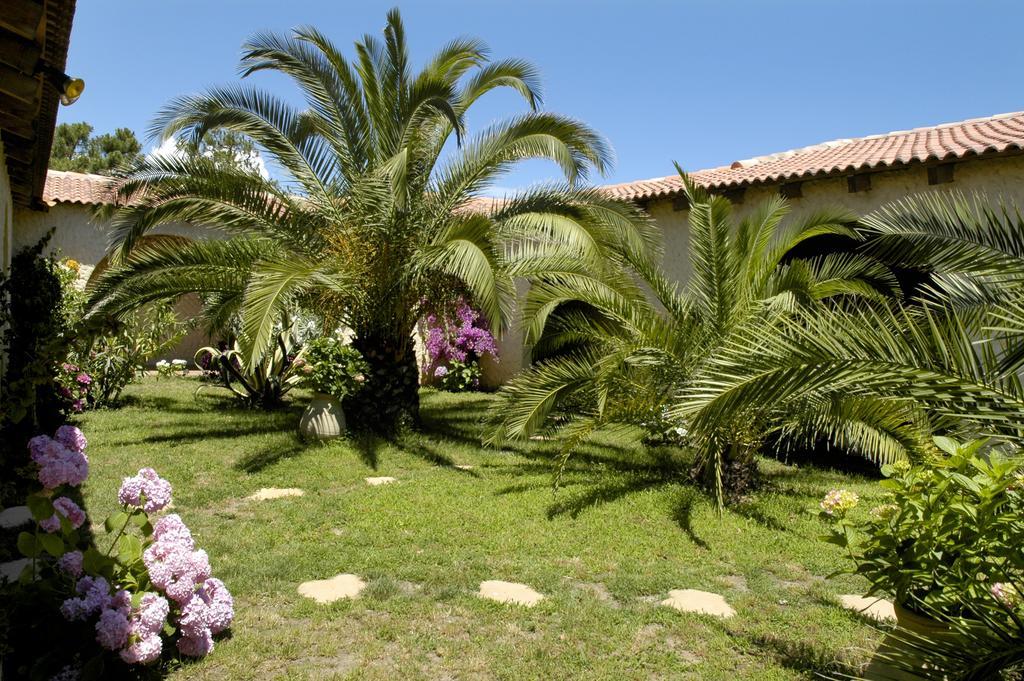 Hôtel Pineto Biguglia (Corsica) Quarto foto